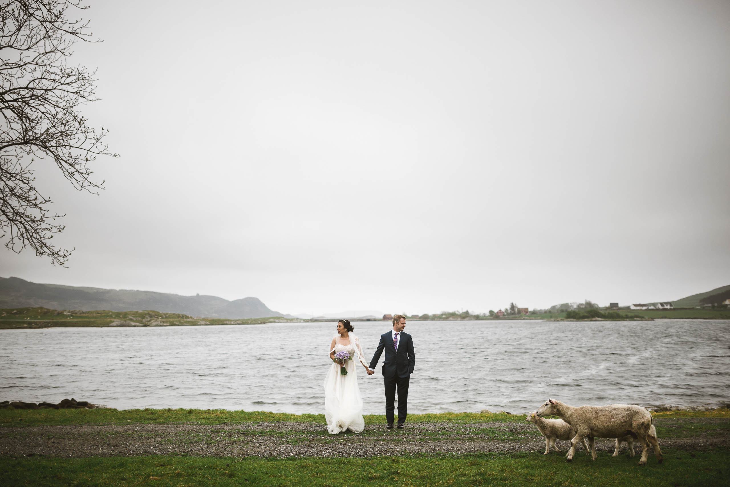 Hochzeit In Norwegen – Martin Scriba – Hochzeitsfotograf Aus Berlin